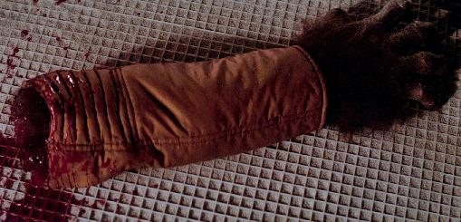This isn't the arm we're looking for!