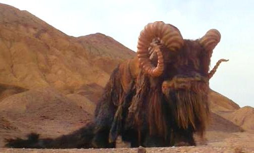 Ba..Ba..Ba..Bantha!  - Bless you!