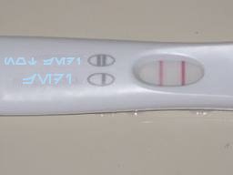 Jedi or pregnant?